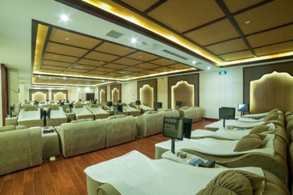 成都晨曦：品味茶香，捕捉光影之美